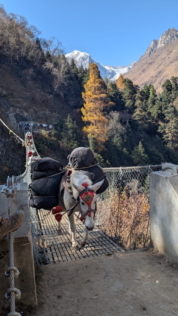 Manaslu Mountains